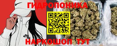 сатива Пенза