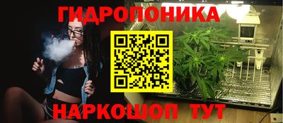 сатива Пенза