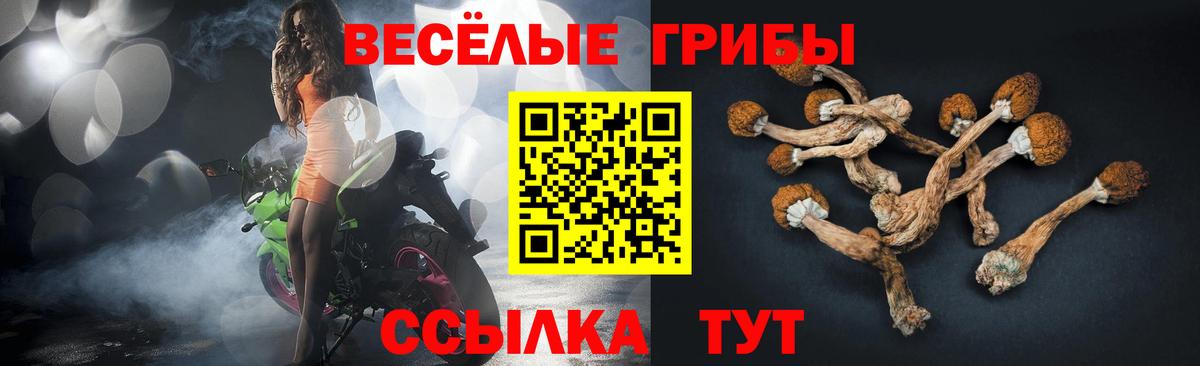 Псилоцибиновые грибы Magic Shrooms Санкт-Петербург